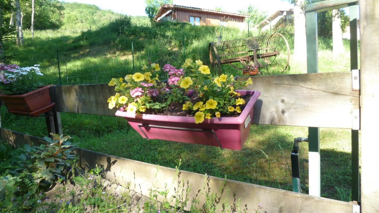 Gite La Lanterne Transition Ecologique Avec Borne De Recharge 7Kw Site Sous Video Protection Nalzen Exterior foto