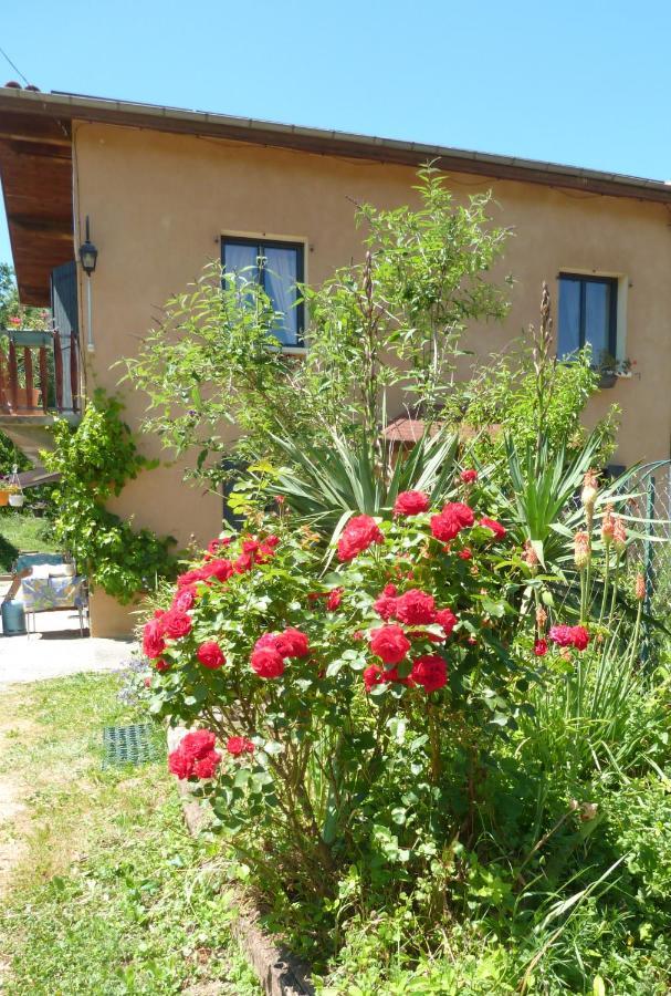 Gite La Lanterne Transition Ecologique Avec Borne De Recharge 7Kw Site Sous Video Protection Nalzen Exterior foto